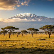 Travel eSIM for Africa (31 countries)