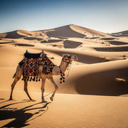 SilkRoute + Dunes Pack eSIM