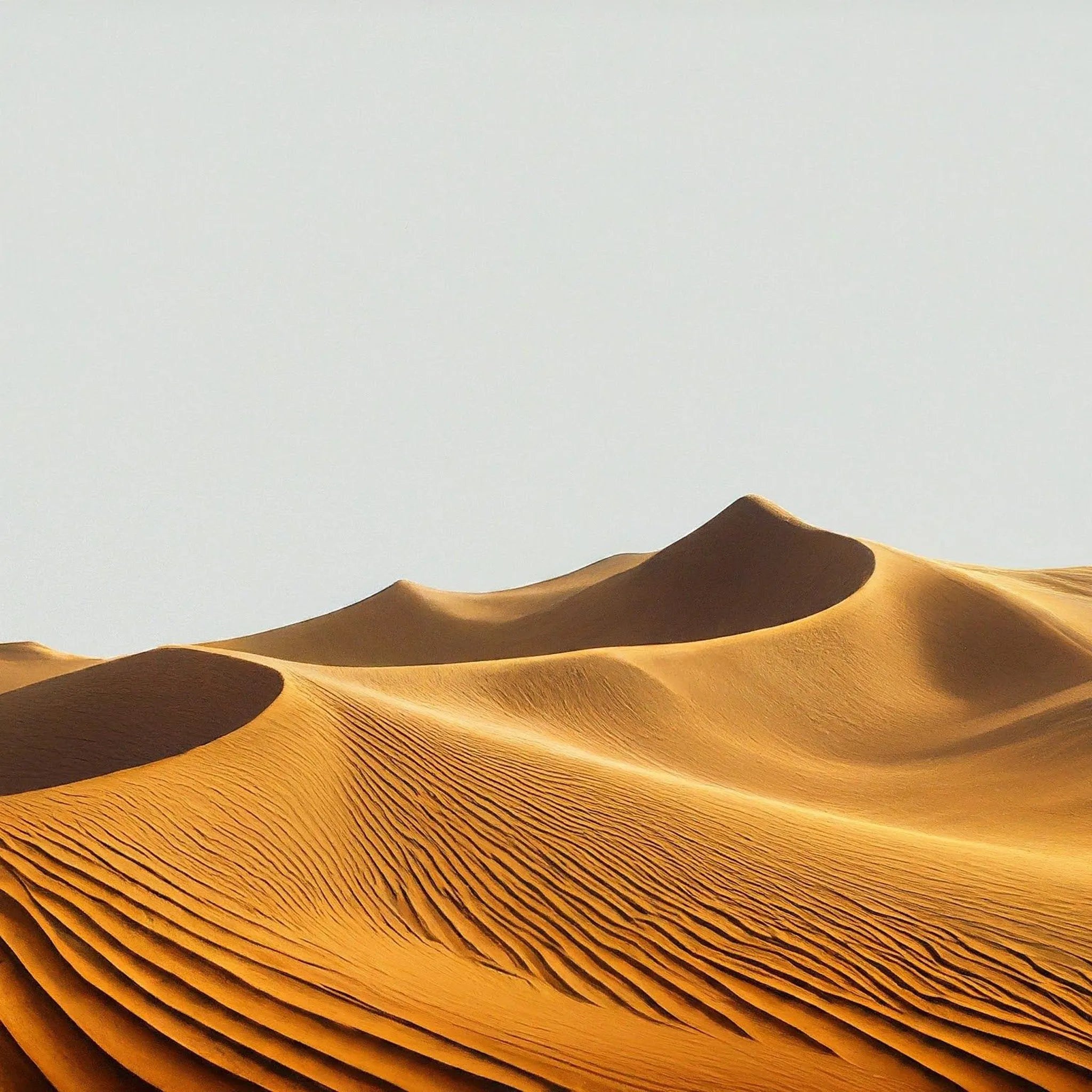 Middle East